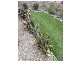 113 Sunset Views Boulevard, Tarneit VIC 3029