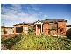 19 Melpomene Boulevard, Tarneit VIC 3029