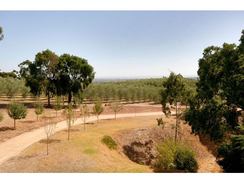 20 Waitara Road, Banksia Park SA 5091