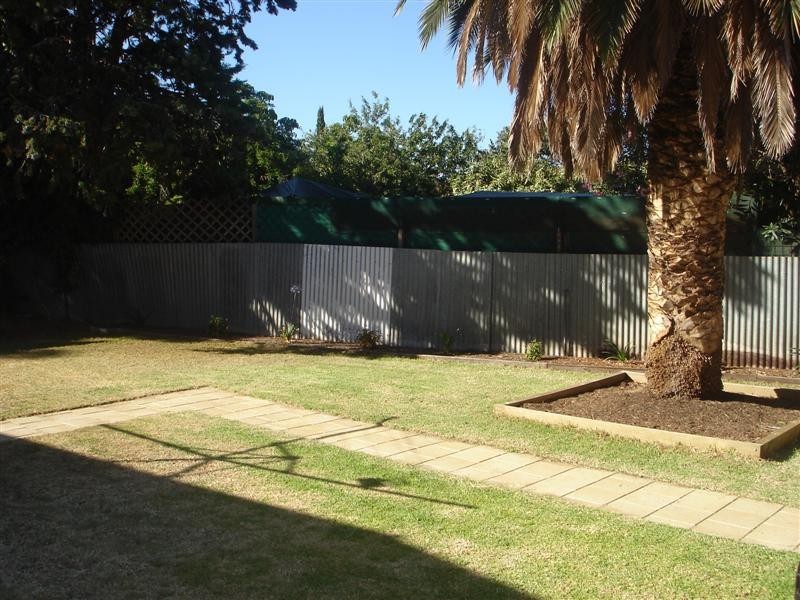 18 Elizabeth Avenue, Plympton SA 5038