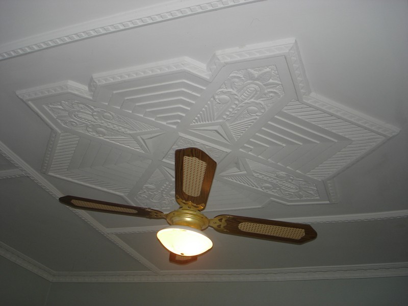 55 Thomas Street, South Plympton SA 5038