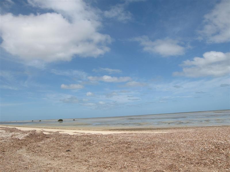 185 The Esplanade, Thompson Beach SA 5501