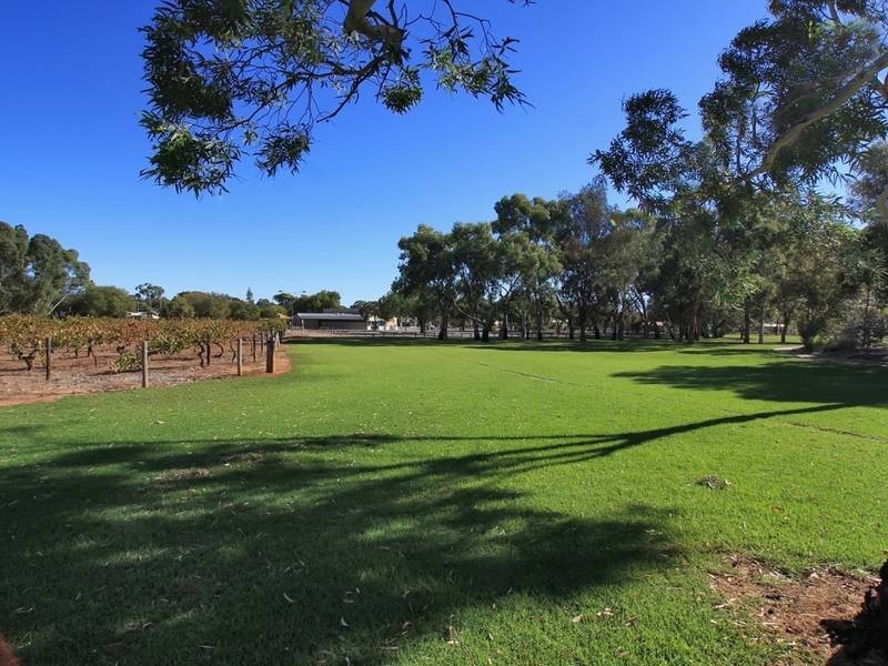 27 Burton Avenue, Park Holme SA 5043
