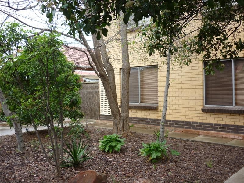 2/49 Ballantyne Street, Thebarton SA 5031