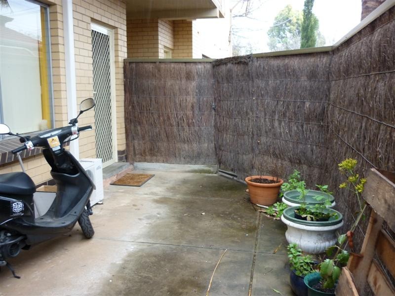 2/49 Ballantyne Street, Thebarton SA 5031