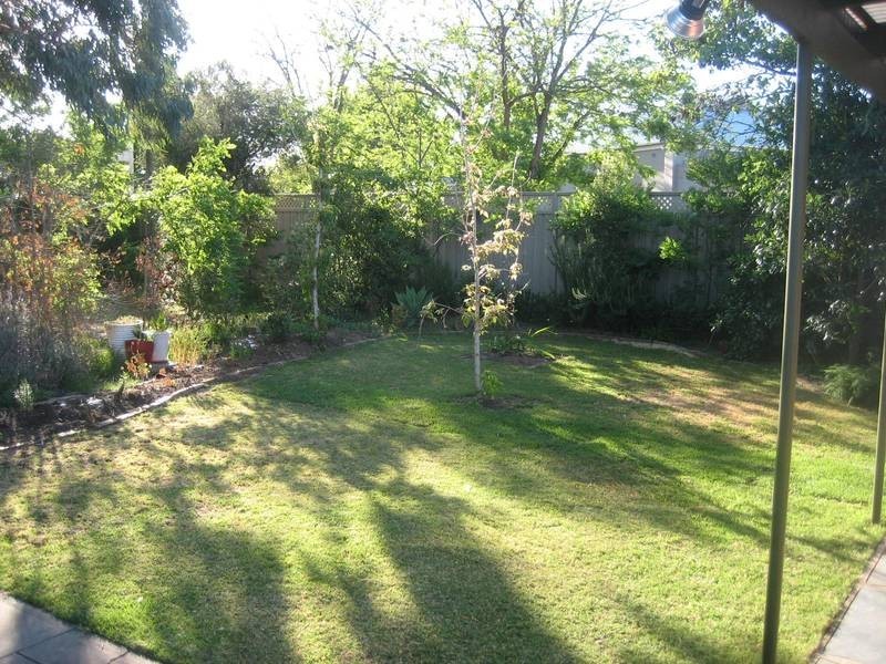 3 Lincoln Avenue, Plympton SA 5038