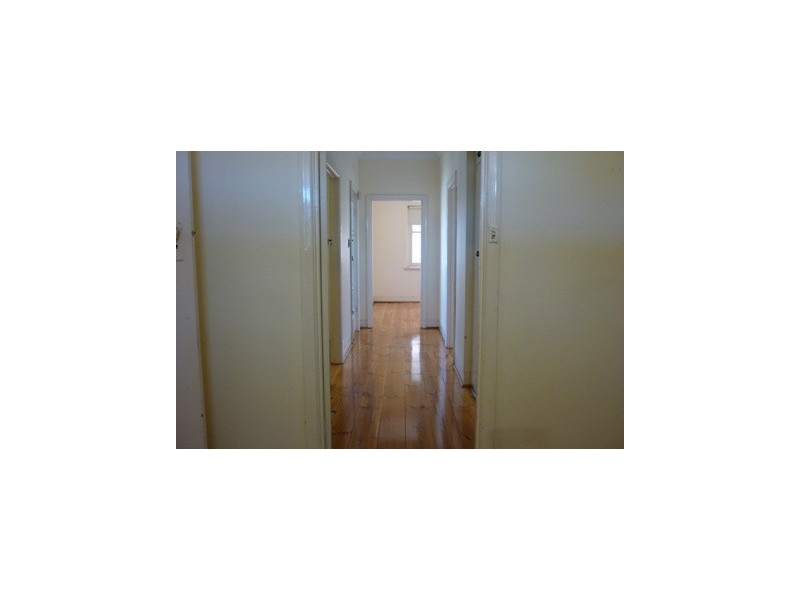 20 Craig Street, Richmond SA 5033