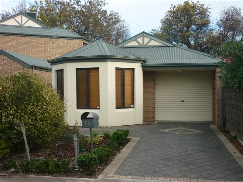 56 Garfield Avenue, Kurralta Park SA 5037