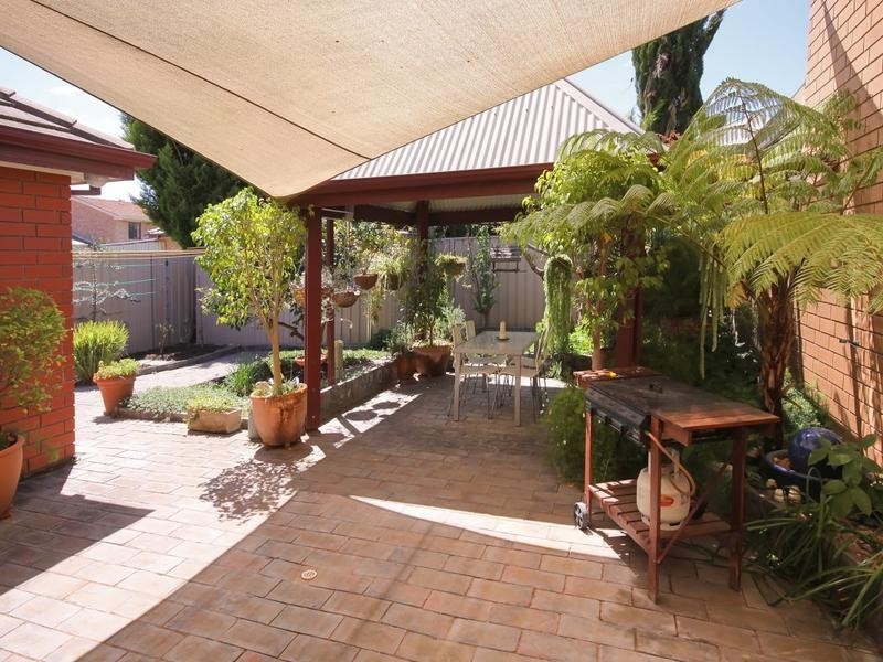 29 David Avenue, Mitchell Park SA 5043