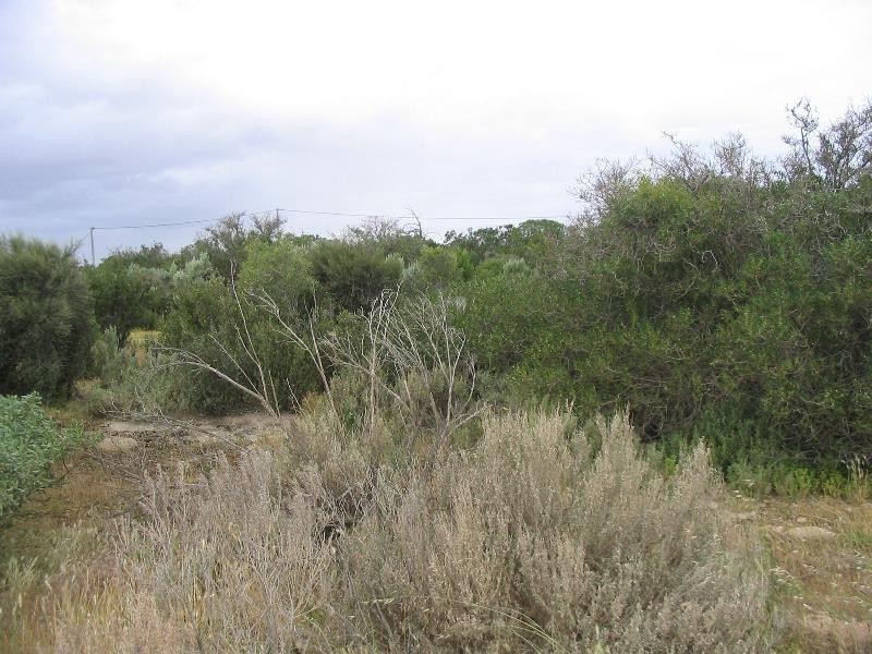 147 The ESPLANADE, Thompson Beach SA 5501