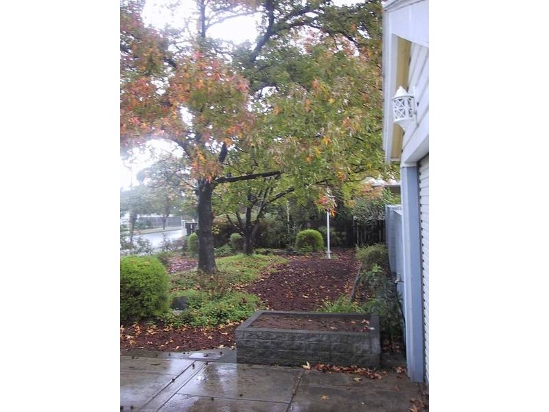 6 Comley Street, Brighton SA 5048