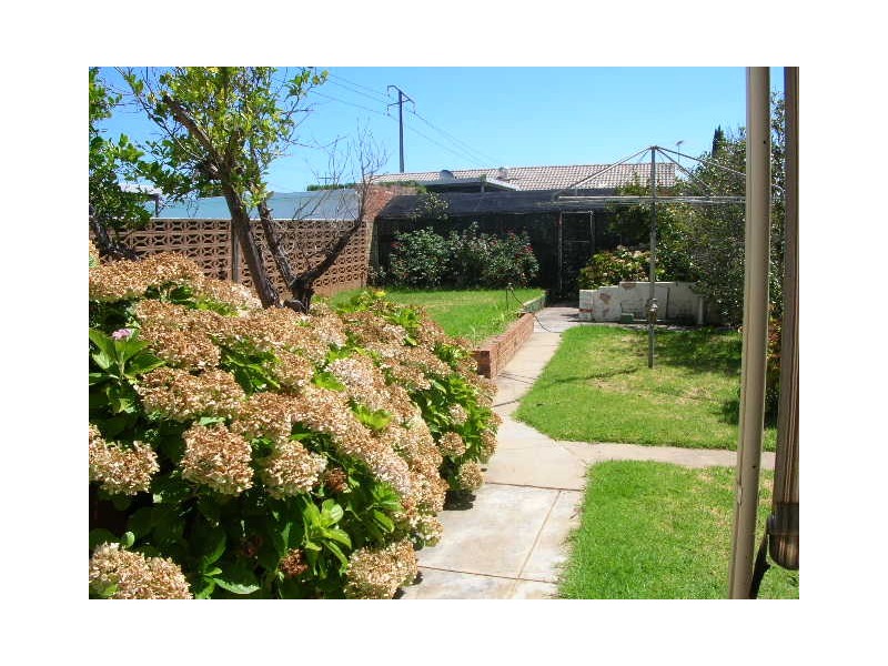 66 Railway Terrace, Edwardstown SA 5039