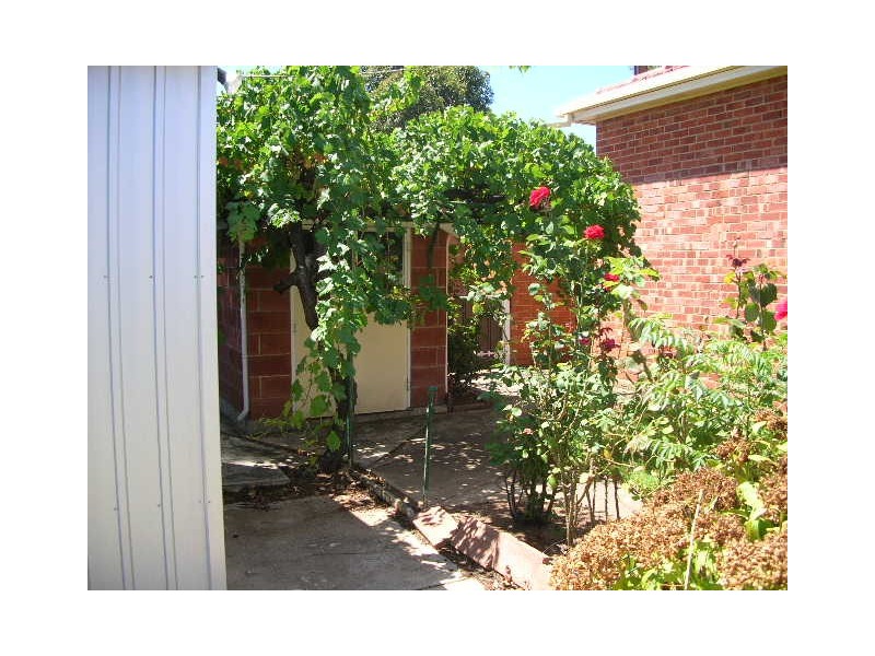 66 Railway Terrace, Edwardstown SA 5039