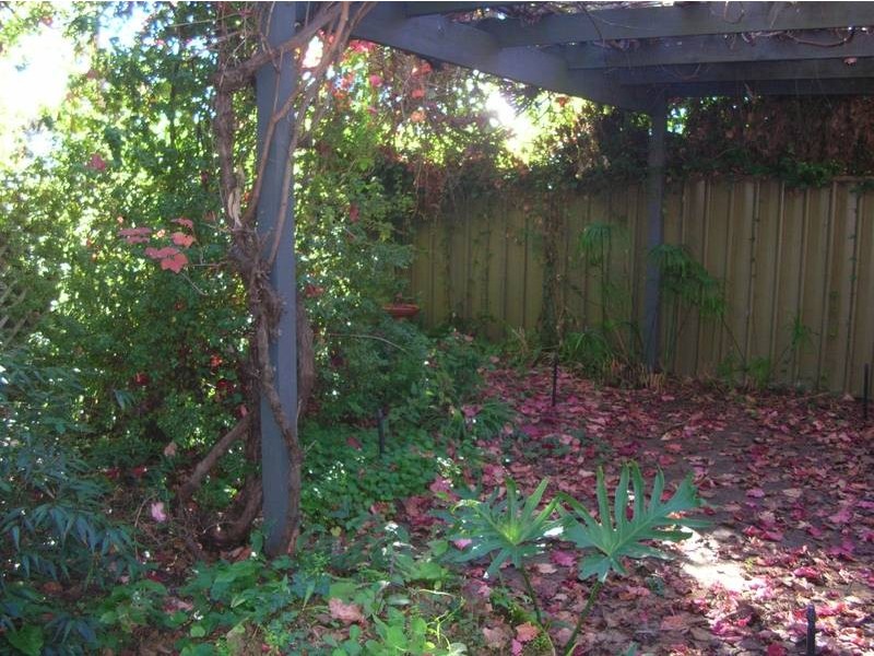 1/20 Windsor Street, Malvern SA 5061