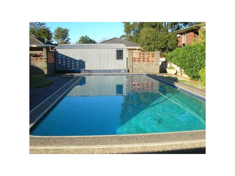 1 Jean Street, Oaklands Park SA 5046