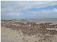 8 Sandpiper Drive, Thompson Beach SA 5501