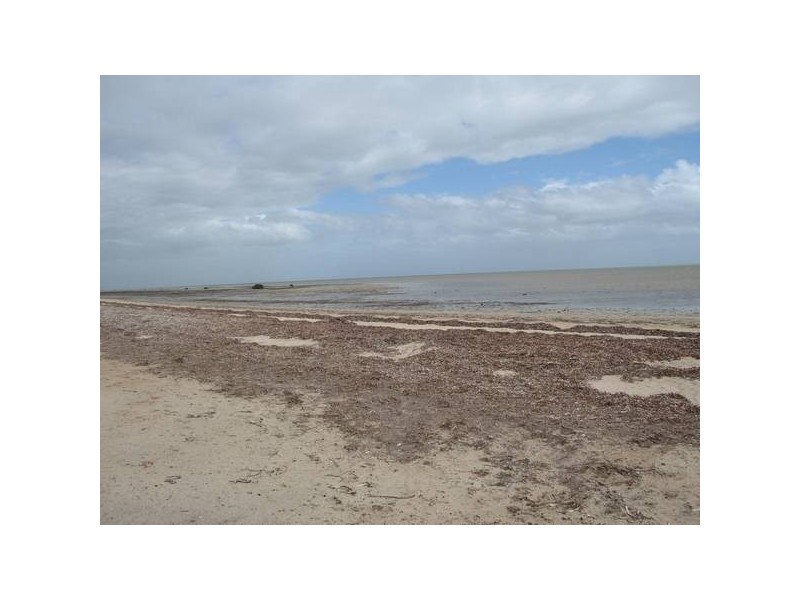 8 Sandpiper Drive, Thompson Beach SA 5501