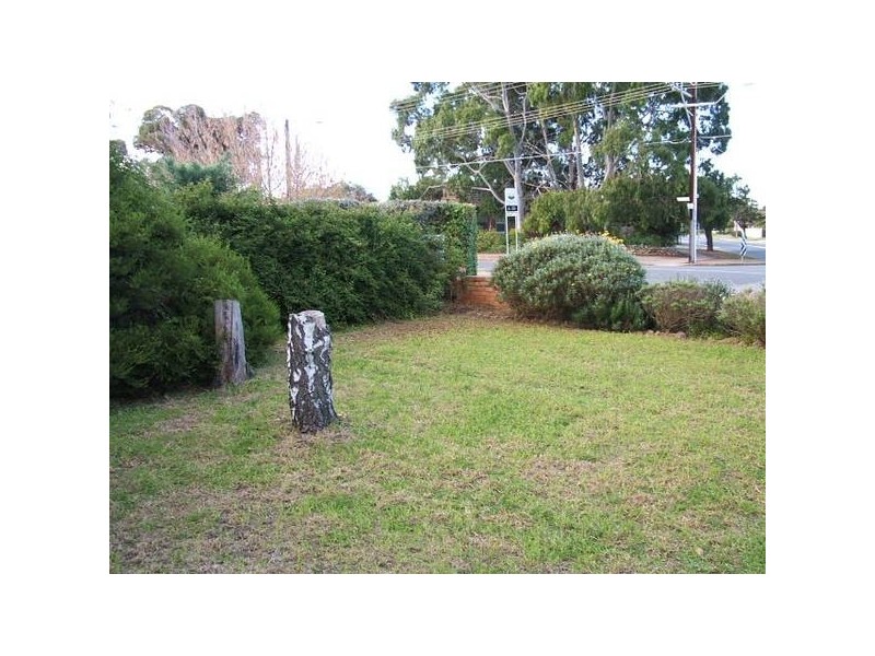 80 Finniss Street, Oaklands Park SA 5046