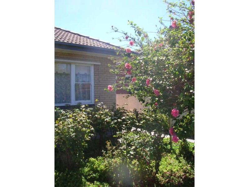 21 Fuller Street, Edwardstown SA 5039