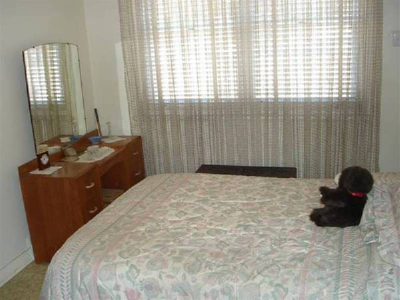 8 Gardner Street, Plympton SA 5038