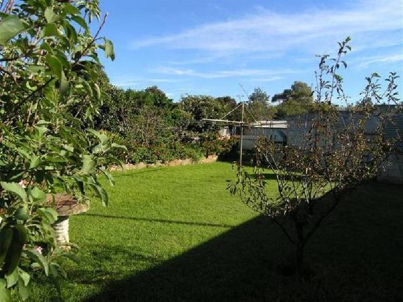 36 Dwyer Road, Oaklands Park SA 5046