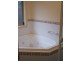 16 Thirza Avenue, Mitchell Park SA 5043