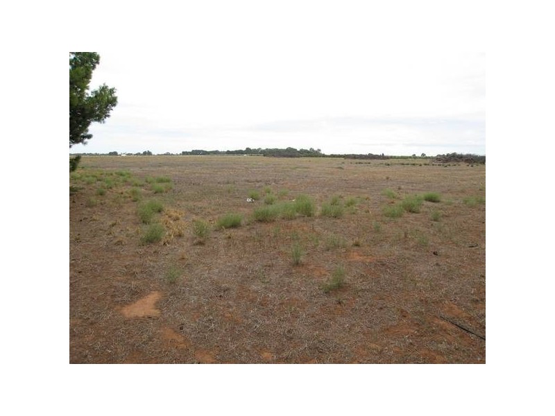 50 & 1 Heaslip Road, Penfield SA 5121