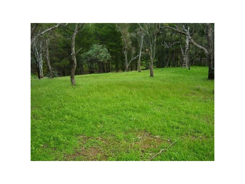 Outlook Drive, Aberfoyle Park SA 5159