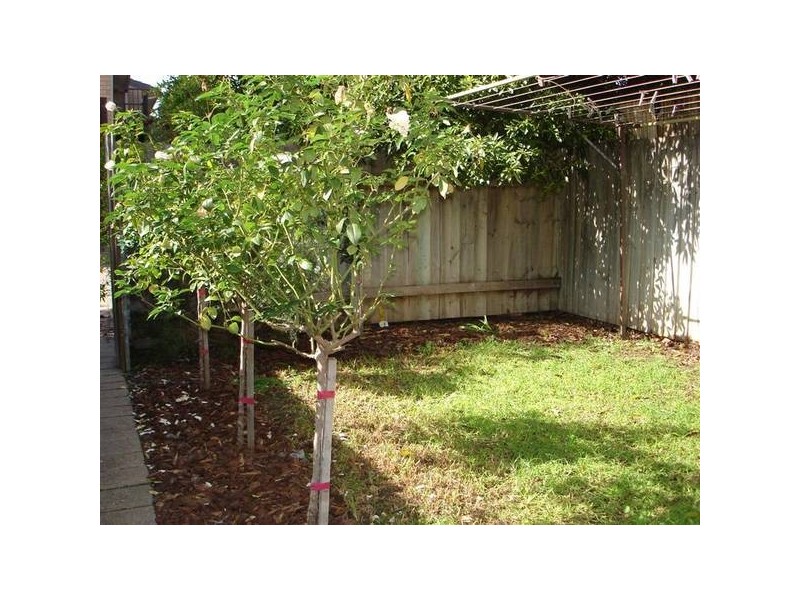 Morphett Road, Glengowrie SA 5044