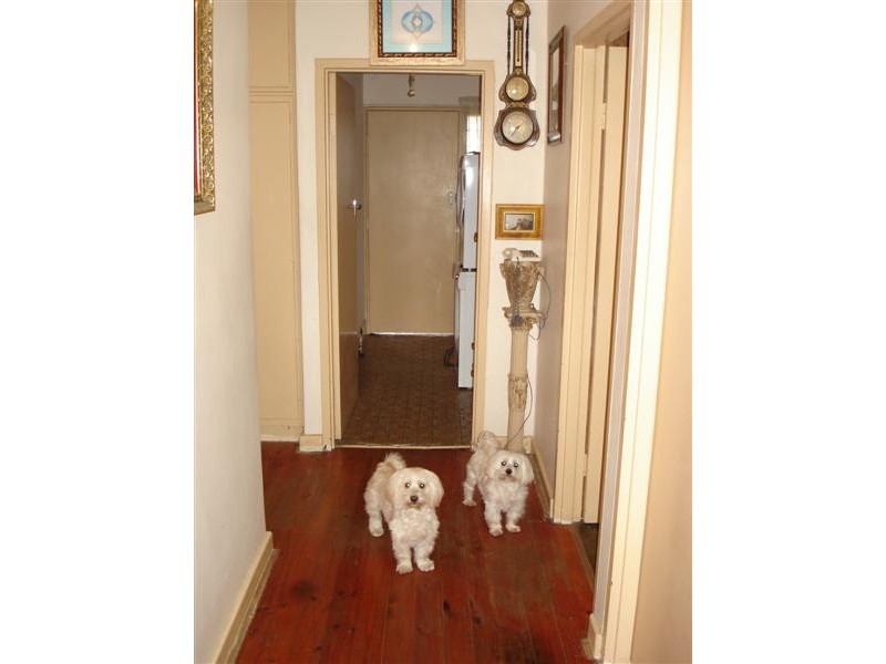 Spring Street, North Plympton SA 5037