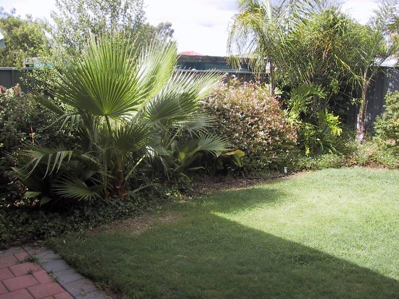 7a Carramar Avenue, Edwardstown SA 5039