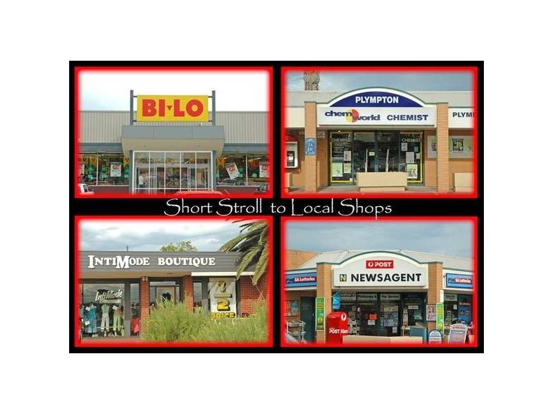 316a Marion Road, Netley SA 5037