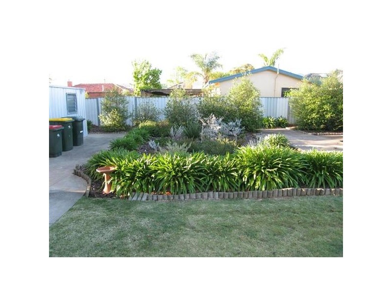 56 Wilton Avenue, Somerton Park SA 5044