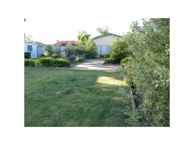 56 Wilton Avenue, Somerton Park SA 5044