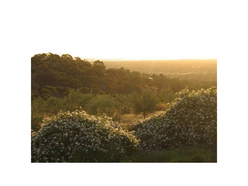 111 Kotara Drive, Salisbury Heights SA 5109