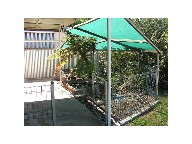15 Mooringe Avenue, Plympton SA 5038