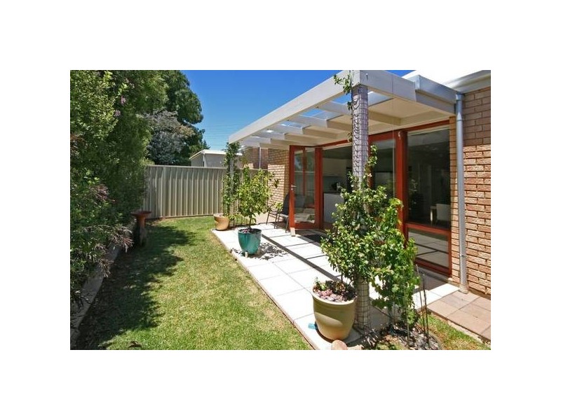 38 Mackay Avenue, North Plympton SA 5037