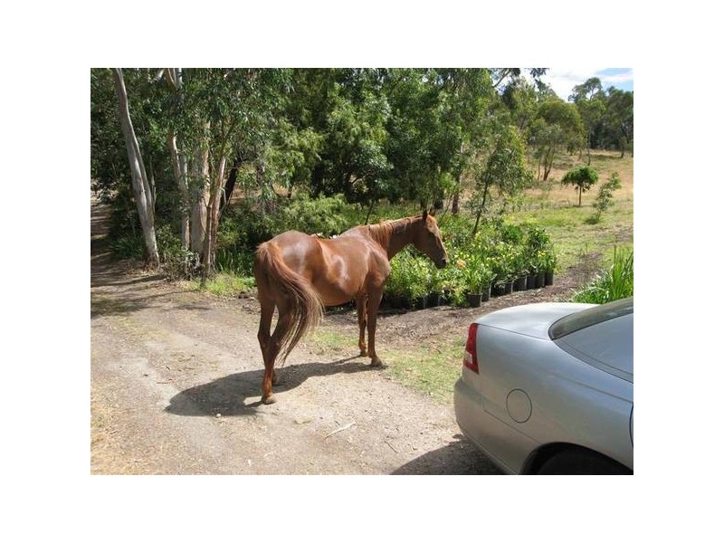53 Checker Hill Road, Gumeracha SA 5233