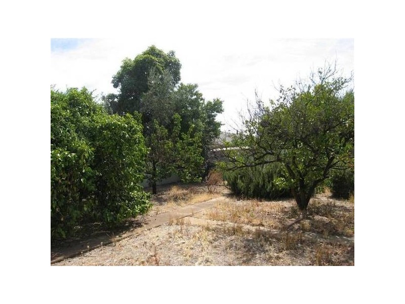 7 St Lawrence Avenue, Edwardstown SA 5039