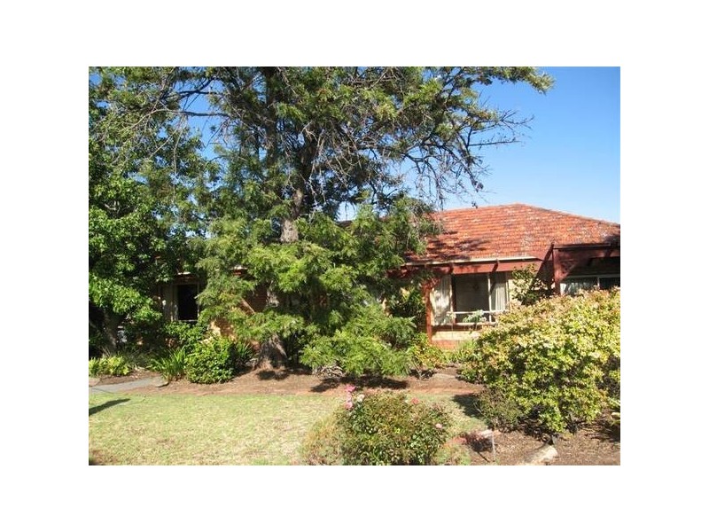 1 Whelan Avenue, Camden Park SA 5038