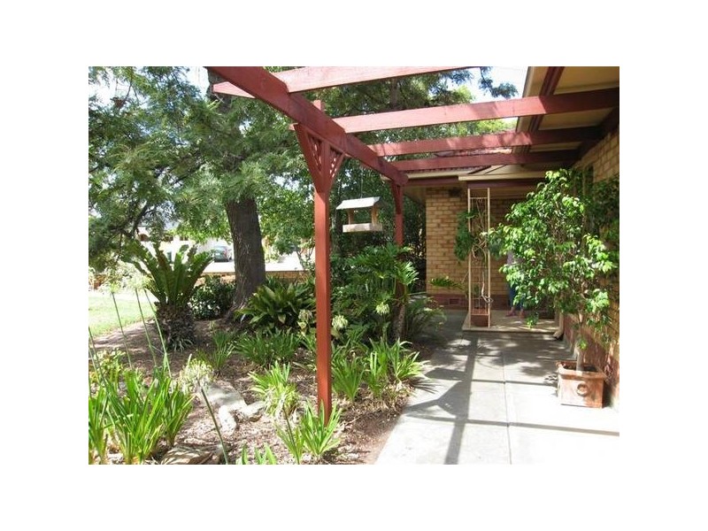 1 Whelan Avenue, Camden Park SA 5038