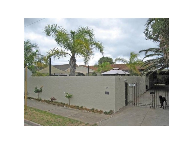 50 Baroda Avenue, Netley SA 5037