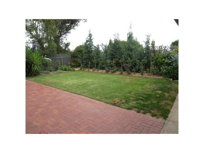 50 Baroda Avenue, Netley SA 5037