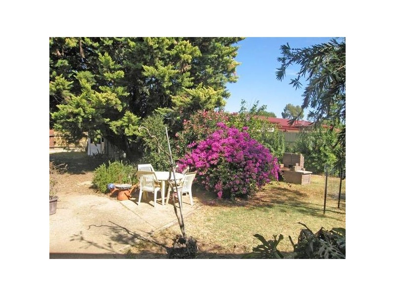 43 Adelaide Terrace, Ascot Park SA 5043