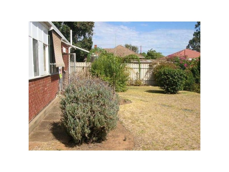 21 Henry Street, Plympton SA 5038
