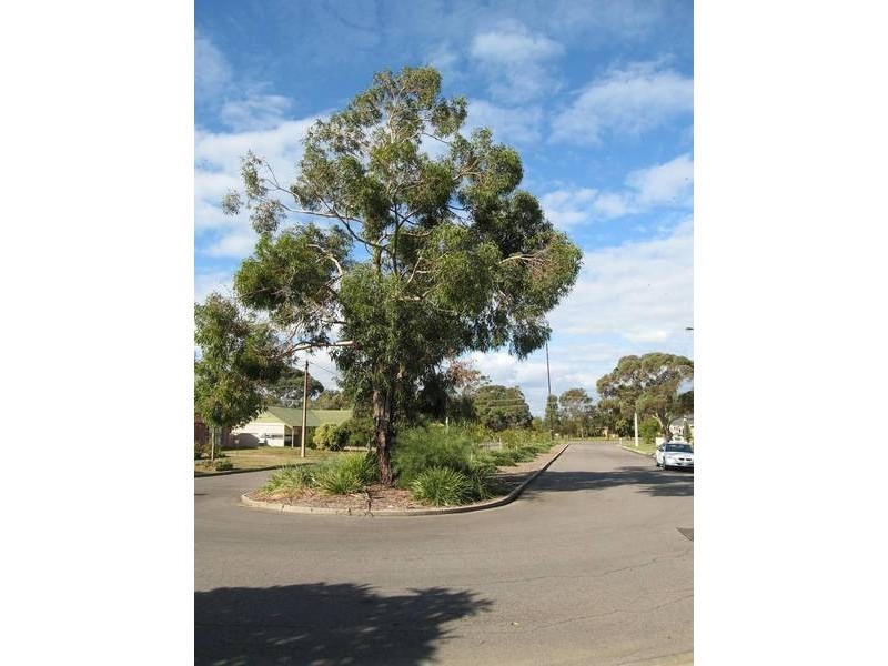 15 Everest Street, Henley Beach SA 5022