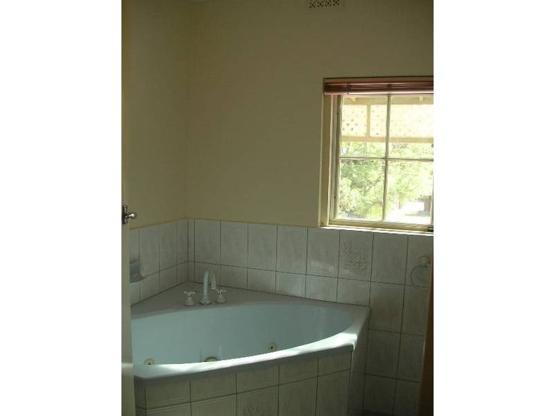 3 Collins Avenue, Edwardstown SA 5039