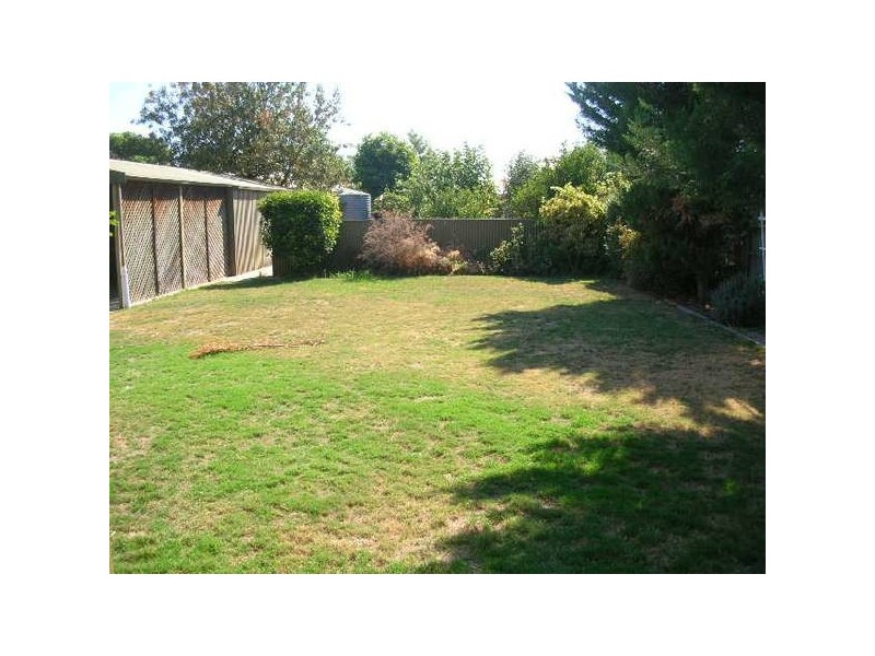 3 Collins Avenue, Edwardstown SA 5039