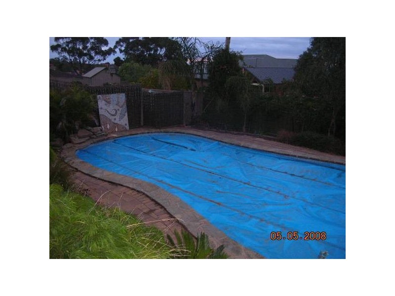 24 Coachwood Drive, Aberfoyle Park SA 5159