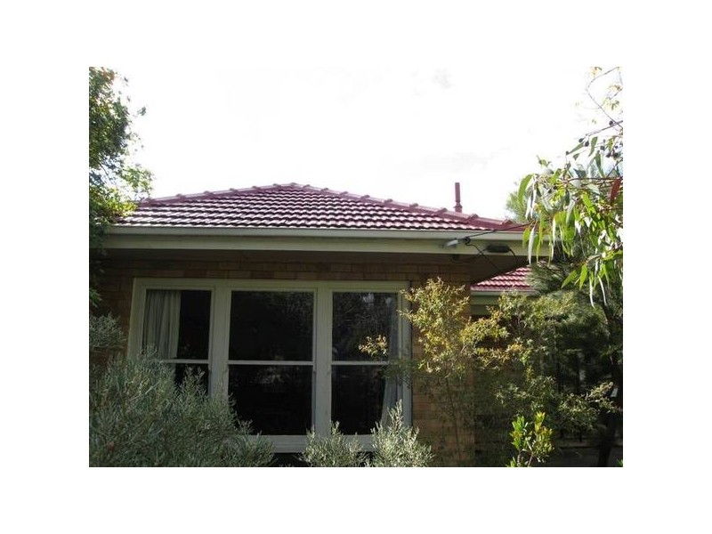 46 Mills Street, Clarence Park SA 5034